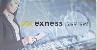 Everything You Need to Know About Exness Intl Member Everything You Need to Know About Exness Intl Member
